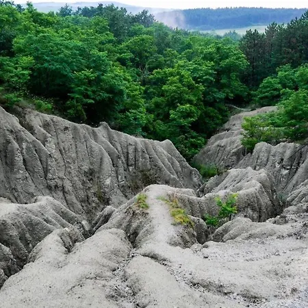 Green Apartman Salgotarjan *