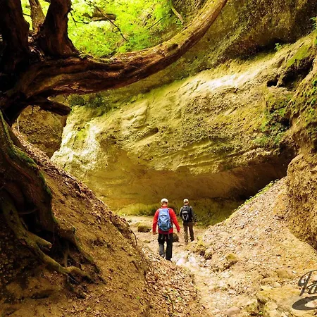 Green Apartman Salgotarjan Apartament